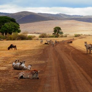MARAVILLAS DE KENIA Y TANZANIA - 09 DÍAS