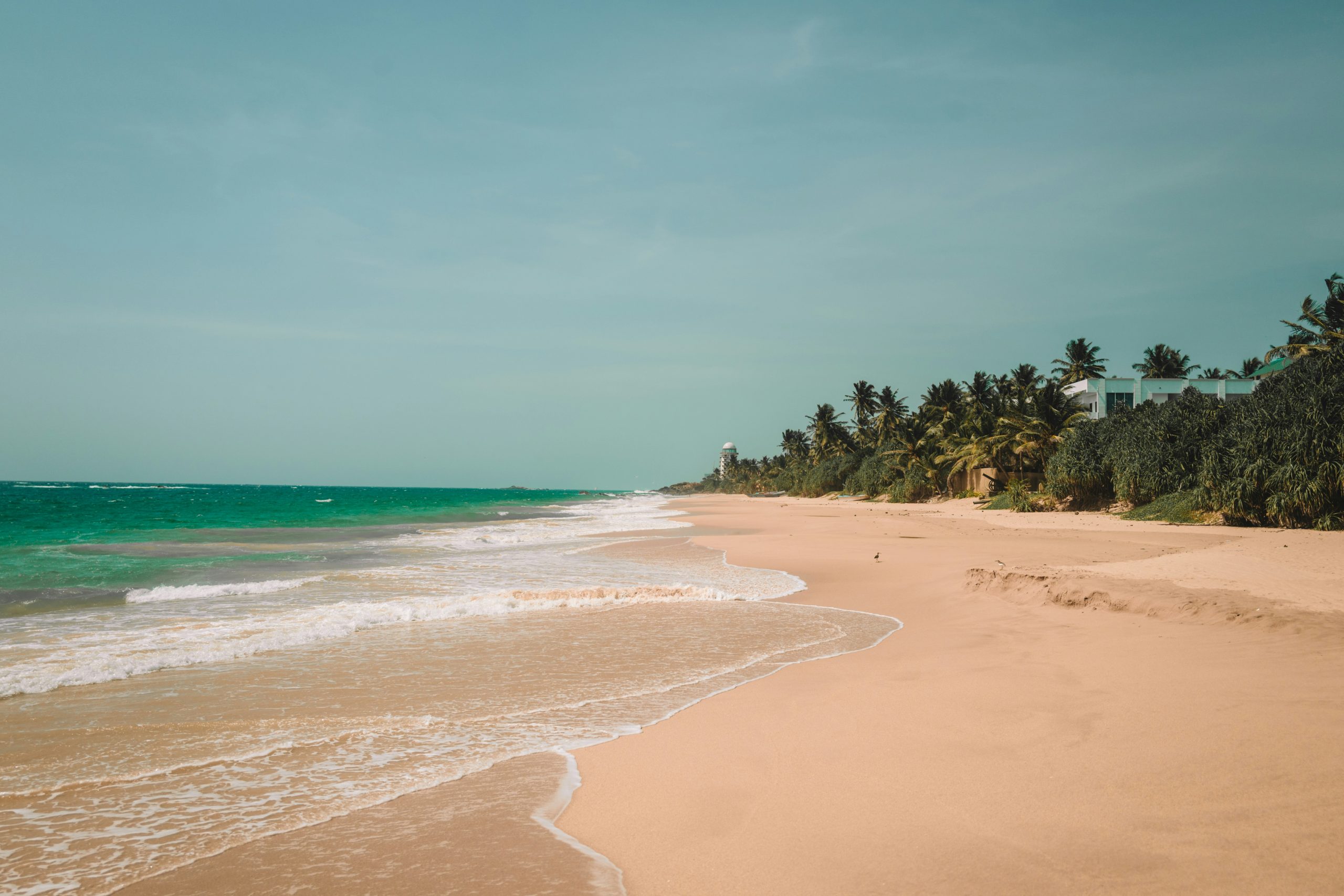 SRI LANKA: LA ISLA MÁGICA - 08 DÍAS - Imagen 2