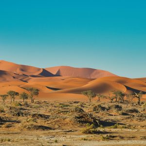 DESIERTO DE Dunas de Sossusvlei