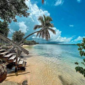 SAN JUAN DE PUERTO RICO - 08 DIAS