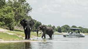 Delta del Okavango en Botswana con mokoro y paisaje natural Safari por África