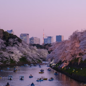 INVIERNO JAPONES 2026 - 10 Días/09 Noches
