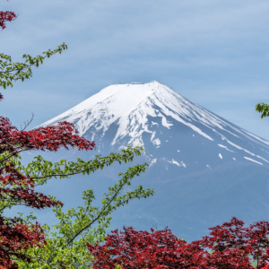 2X1 MAJESTUOSO JAPÓN-     2026-27  06 NOCHES