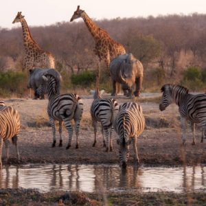 SUDÁFRICA ESENCIAL Salida acompañada desde Montevideo   10 de octubre 2026