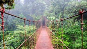 Bosque nuboso de Monteverde Costa Rica