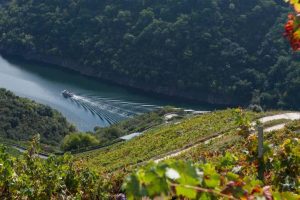 Cañón del Sil Ribeira Sacra Galicia
