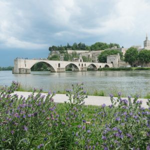 Viaje a Provenza Francesa desde Uruguay en Español acompañado Mac Travel Travel Viajes