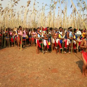 Viaje a Sudáfrica desde Montevideo Safari Reserva Kruger acompañado en Español Mac Travel Viajes