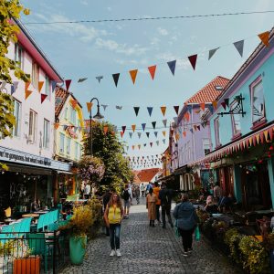 Viaje a Noruega Fiordos acompañado desde Uruguay Tour Mac Travel Viajes