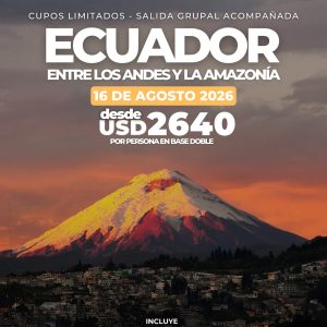 placa de promocion