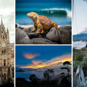 Ecuador, paisaje andino con el volcán Cotopaxi y naturaleza de los Andes