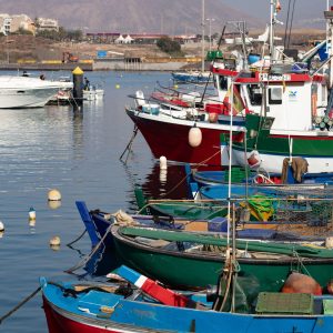 Puerto de las Islas Galápagos con embarcaciones turísticas y paisaje volcánico de fondo.