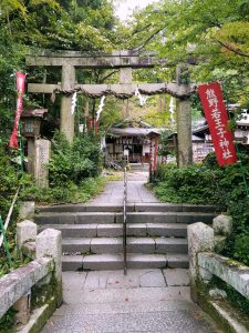 Camino de Kumano entre bosques de Japón