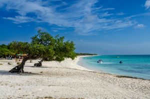 Kenepa Beach Curazao playa Caribe Aruba y Curazao  7 Días