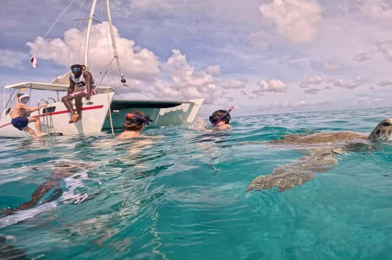 Excursión en catamarán con snorkel y tortugas marinas en Barbado