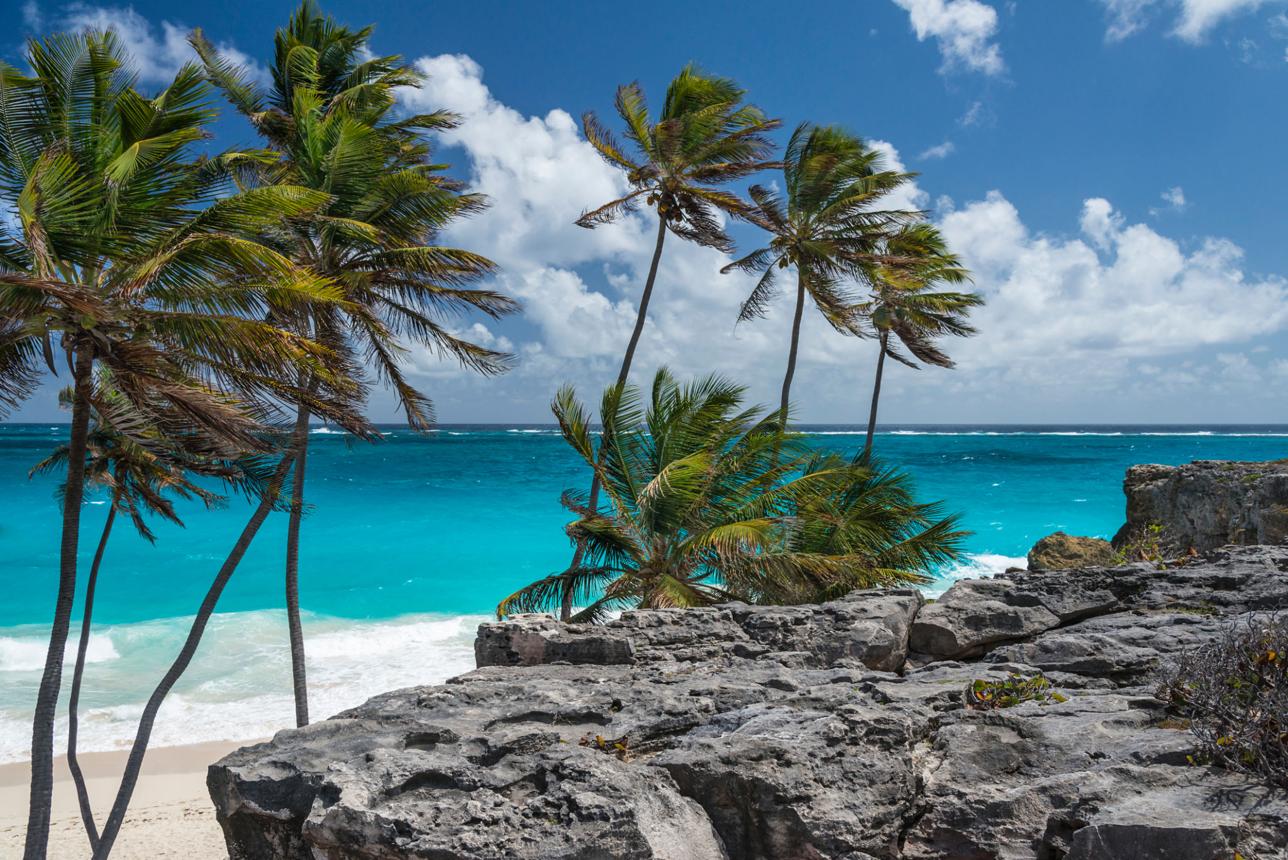 Bottom Bay en Barbados con palmeras, arena blanca y aguas turquesas.