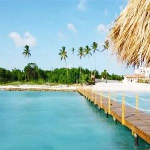 Playa de Bayahibe con arena blanca, aguas turquesas y palmeras en República Dominicana.