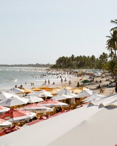 : Playa El Yaque Isla Margarita Venezuela con mar y palmeras