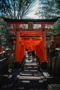 Santuario Fushimi Inari con torii rojos en Kioto Japón Inolvidable Japón 11 Días | Circuito por Japón