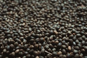 je Cafetero Colombia plantación de café