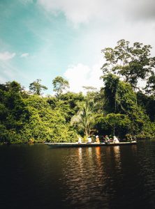 Canales de Tortuguero Costa Rica rodeados de selva tropical