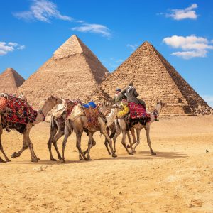 Pirámides de Guiza y camellos en el desierto de Egipto
