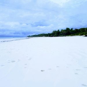 Kenia Safari y Playa: Masai Mara, Amboseli, Tsavo y Diani - 10 días