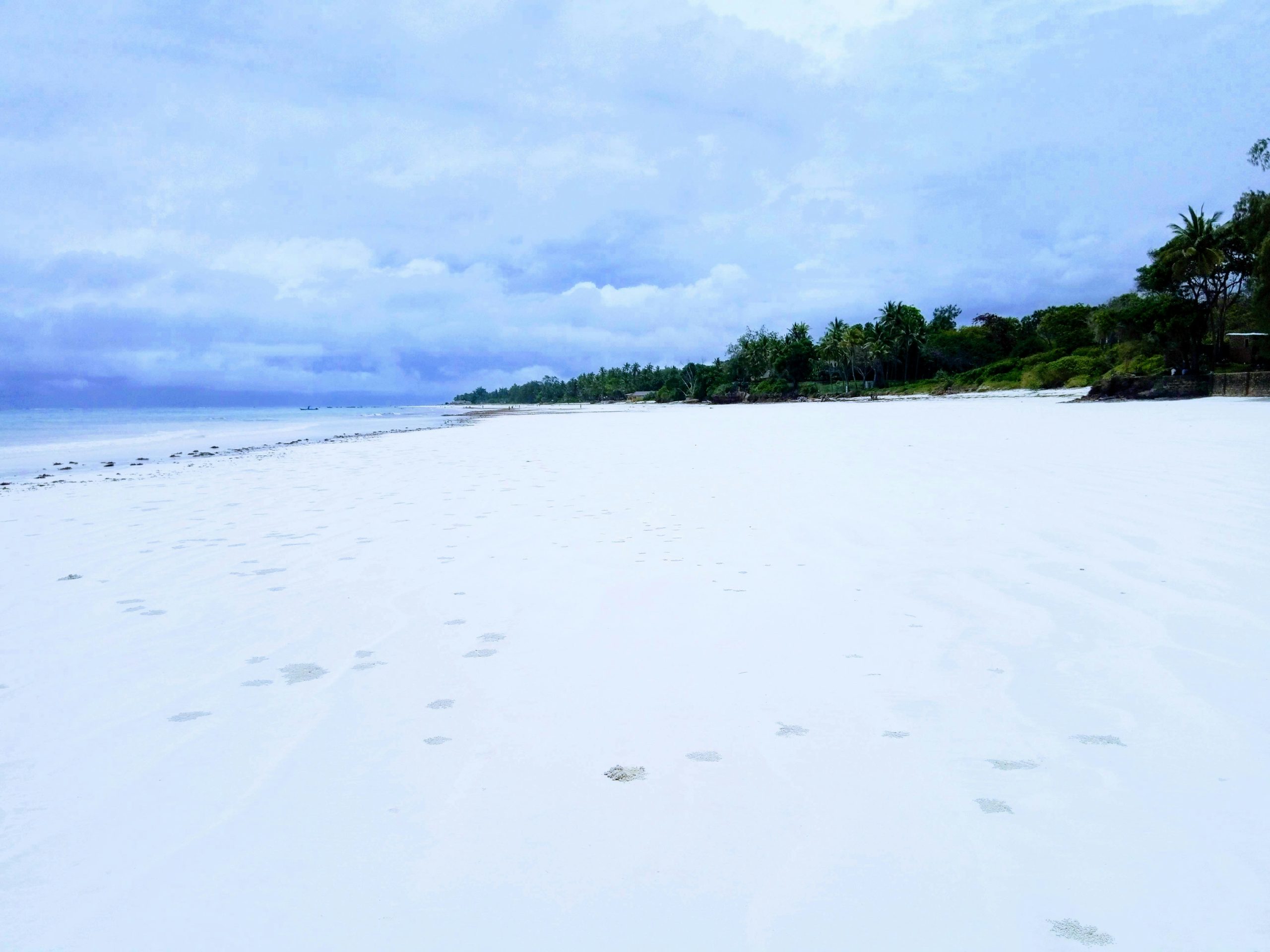 Kenia Safari y Playa: Masai Mara, Amboseli, Tsavo y Diani – 10 días — Kenya