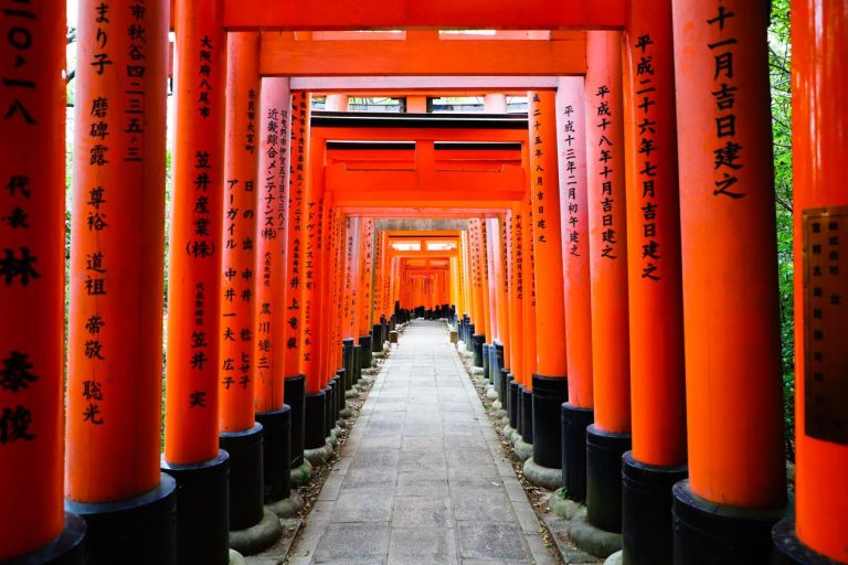 Túnel de torii rojos del Santuario Fushimi Inari en Kioto
